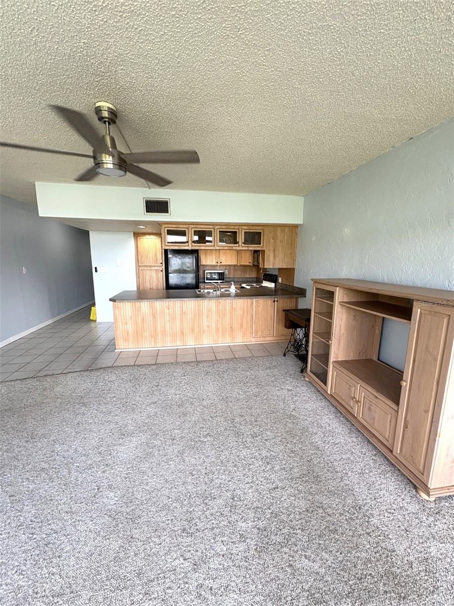 520 S PENINSULA #1d10, NEW SMYRNA BEACH, FL, 32169