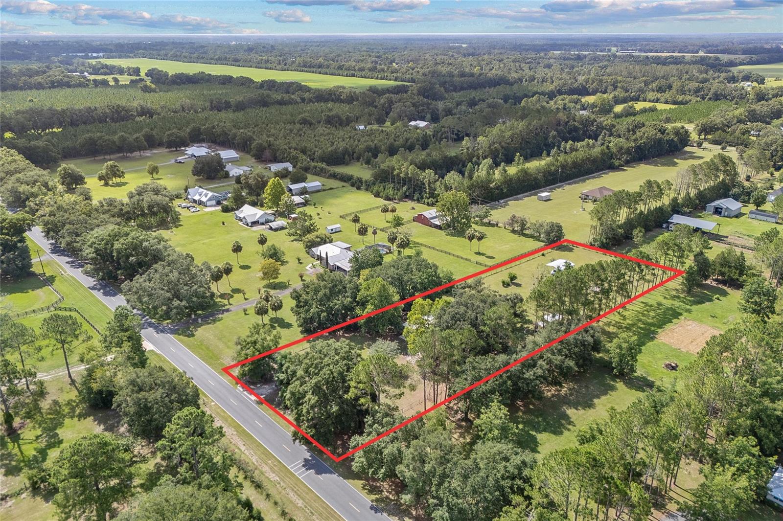 2809 SW COUNTY ROAD 307A, TRENTON, FL, 32693