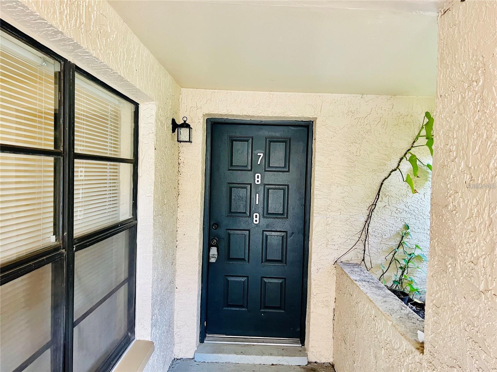 7818 NIAGARA AVE #205, TAMPA, FL, 33617