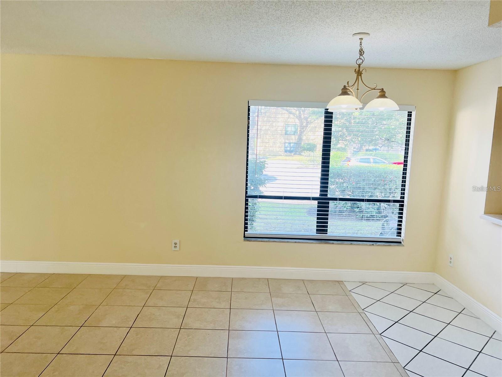 7818 NIAGARA AVE #205, TAMPA, FL, 33617