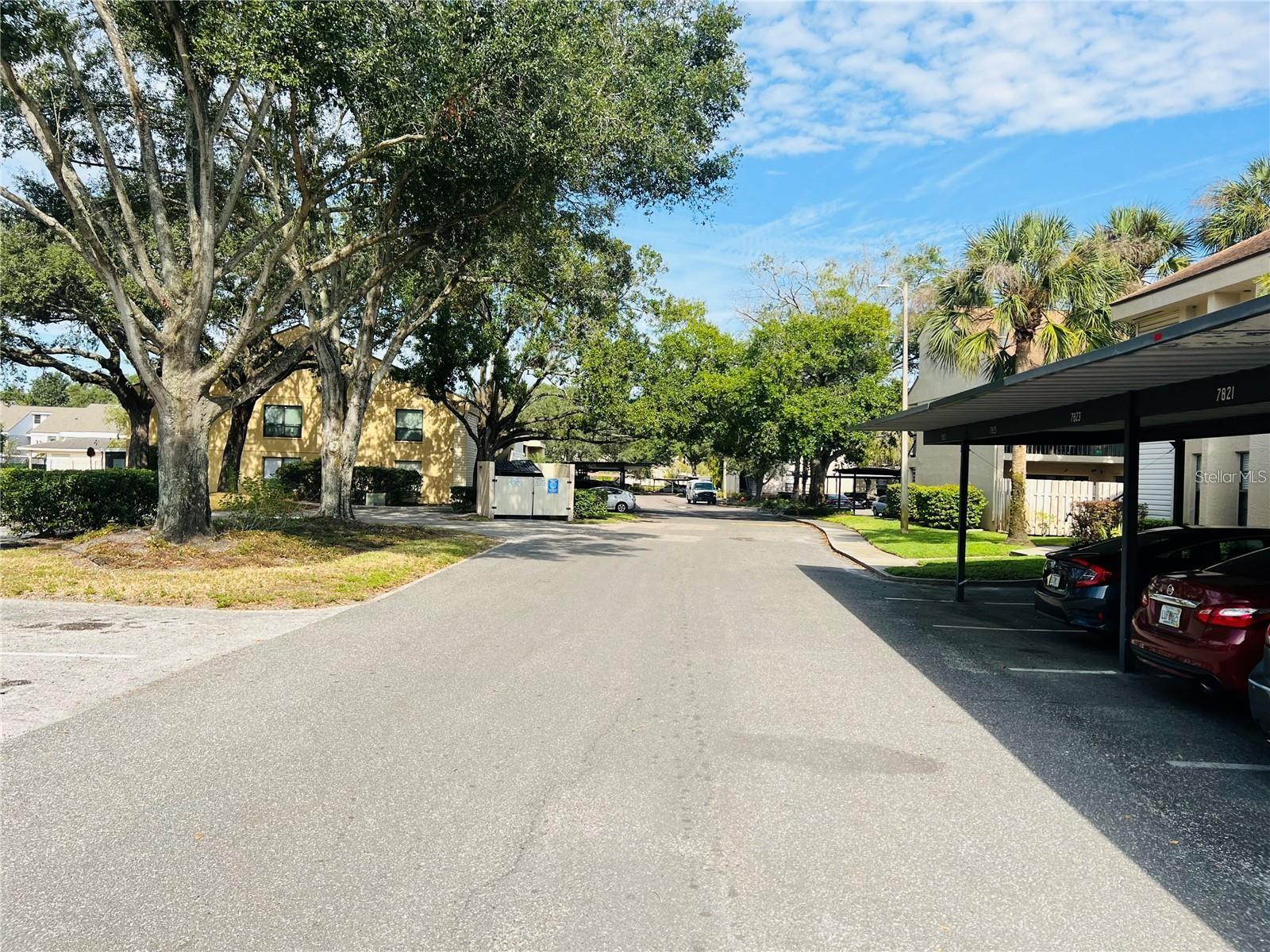 7818 NIAGARA AVE #205, TAMPA, FL, 33617