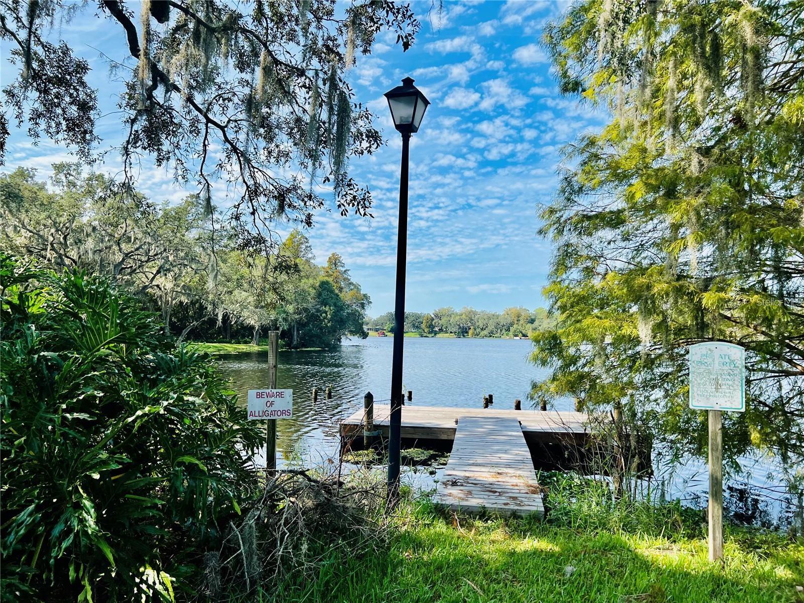 7818 NIAGARA AVE #205, TAMPA, FL, 33617