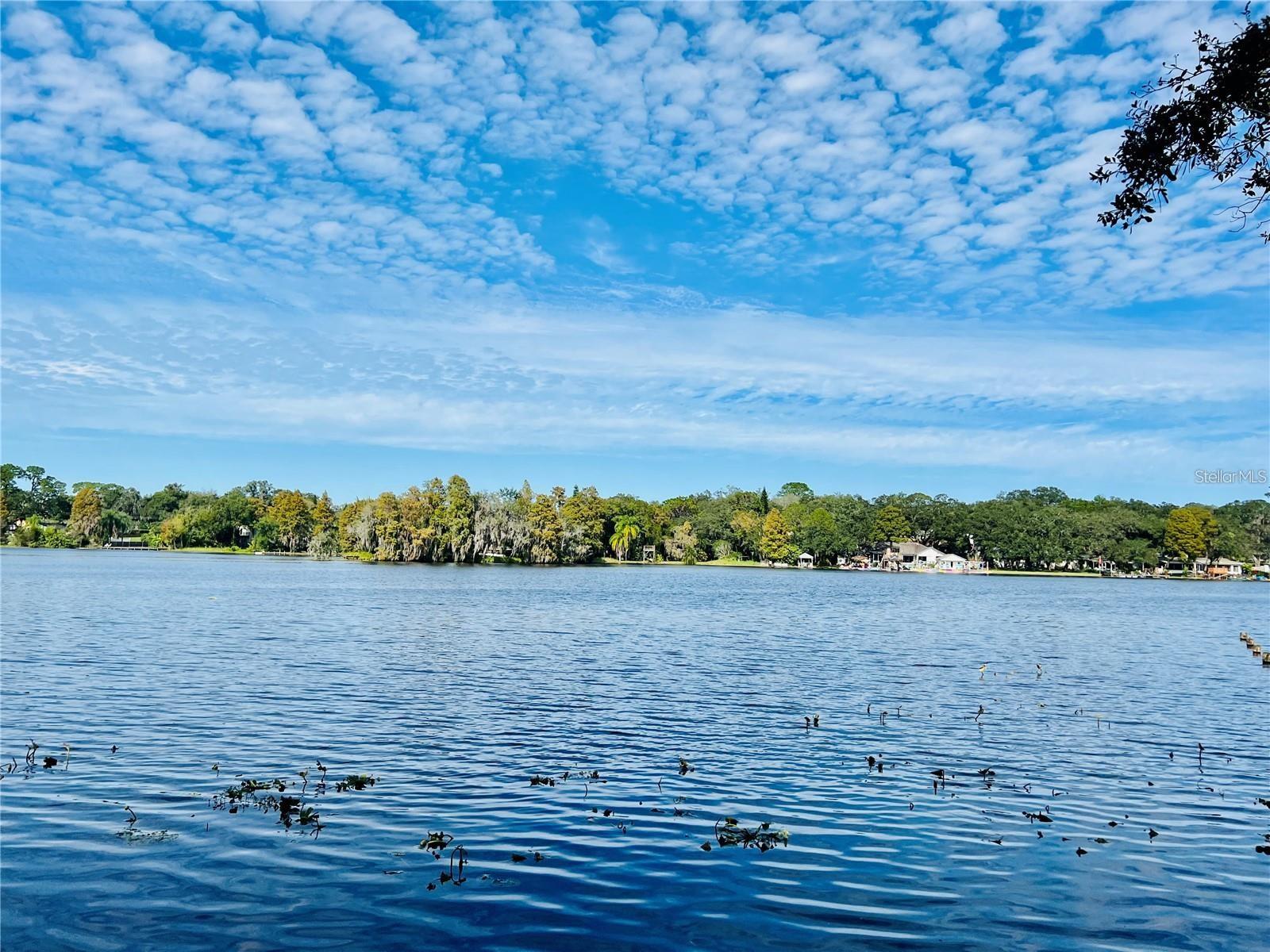 7818 NIAGARA AVE #205, TAMPA, FL, 33617