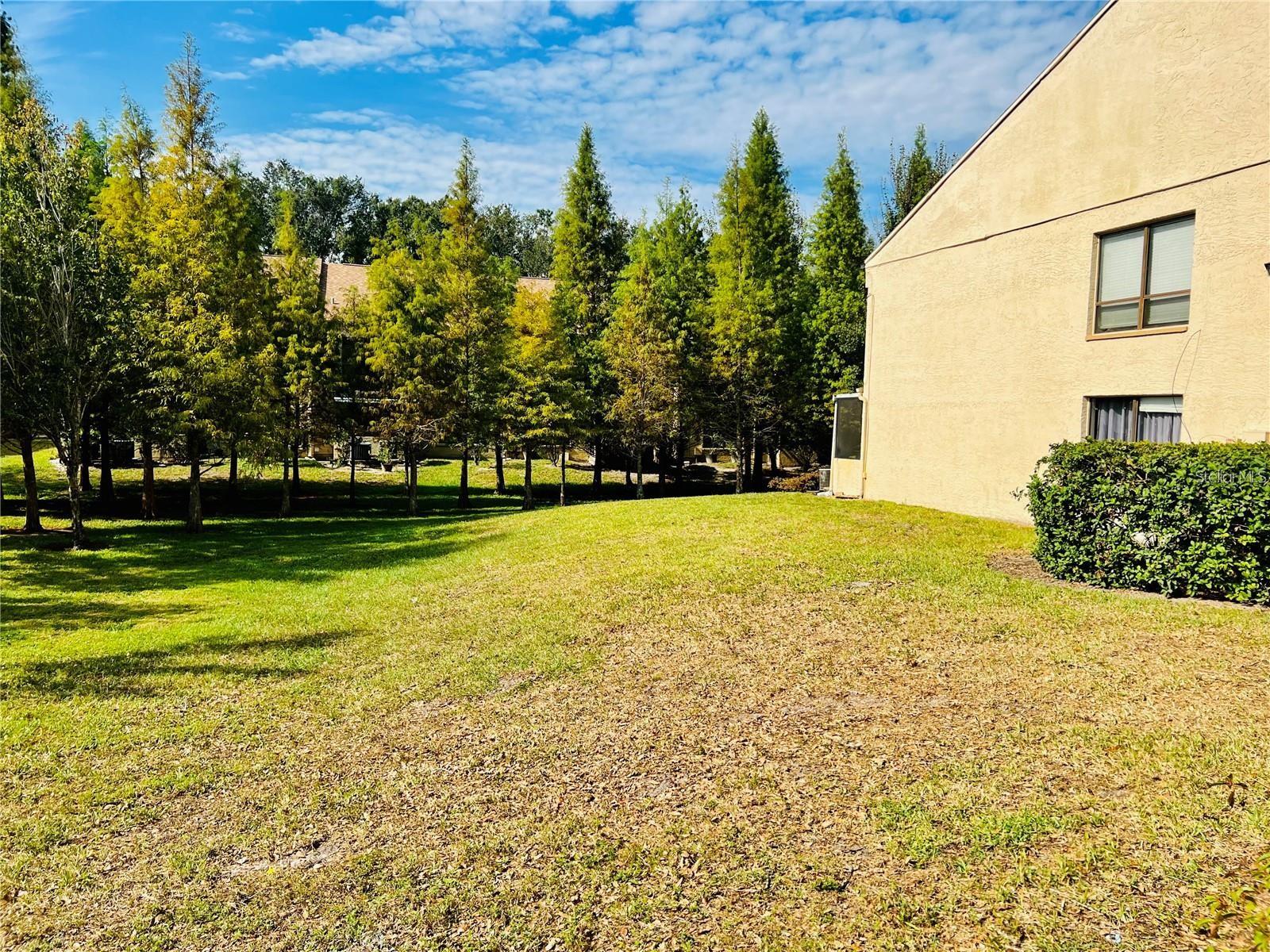 7818 NIAGARA AVE #205, TAMPA, FL, 33617