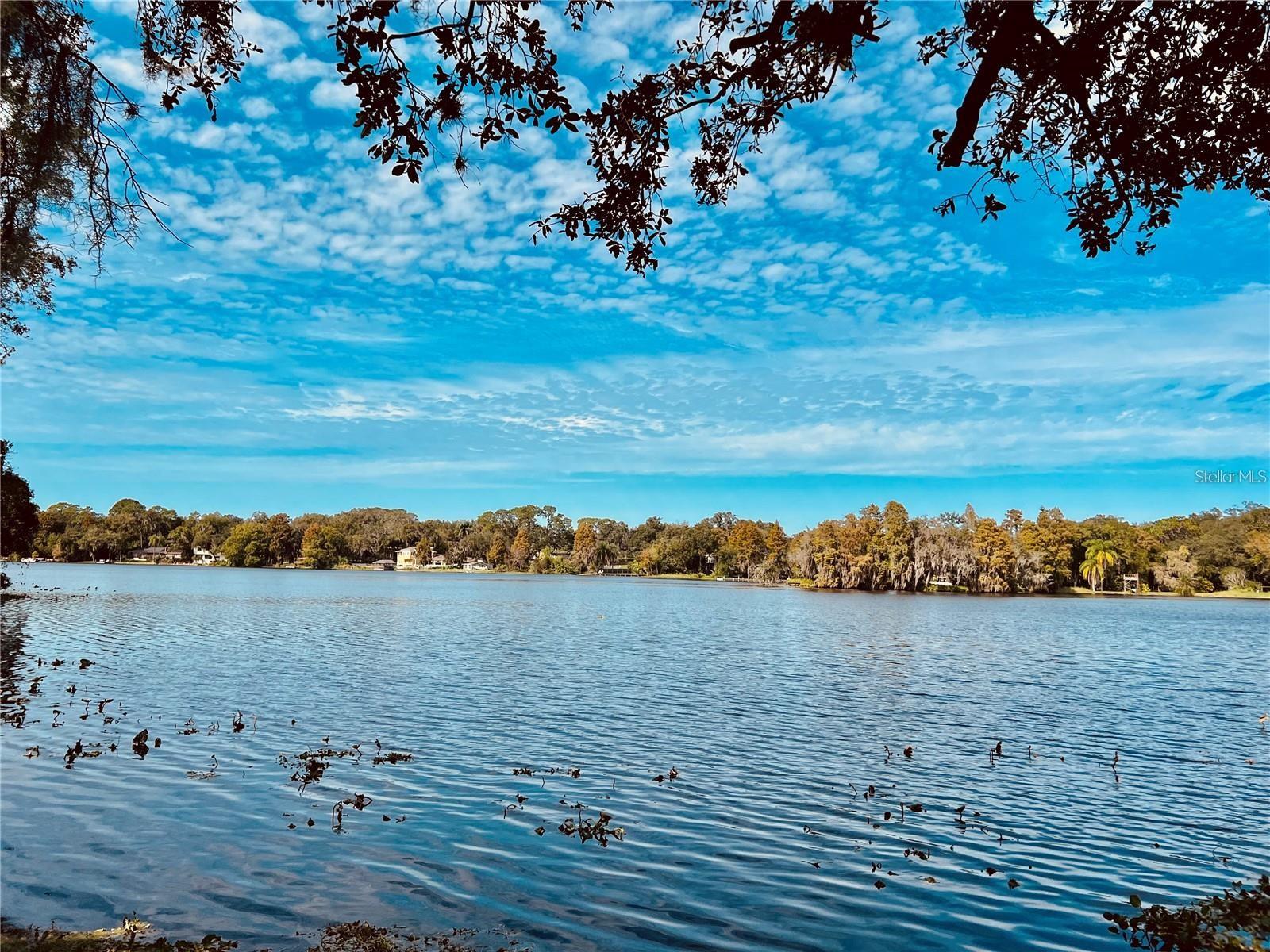 7818 NIAGARA AVE #205, TAMPA, FL, 33617