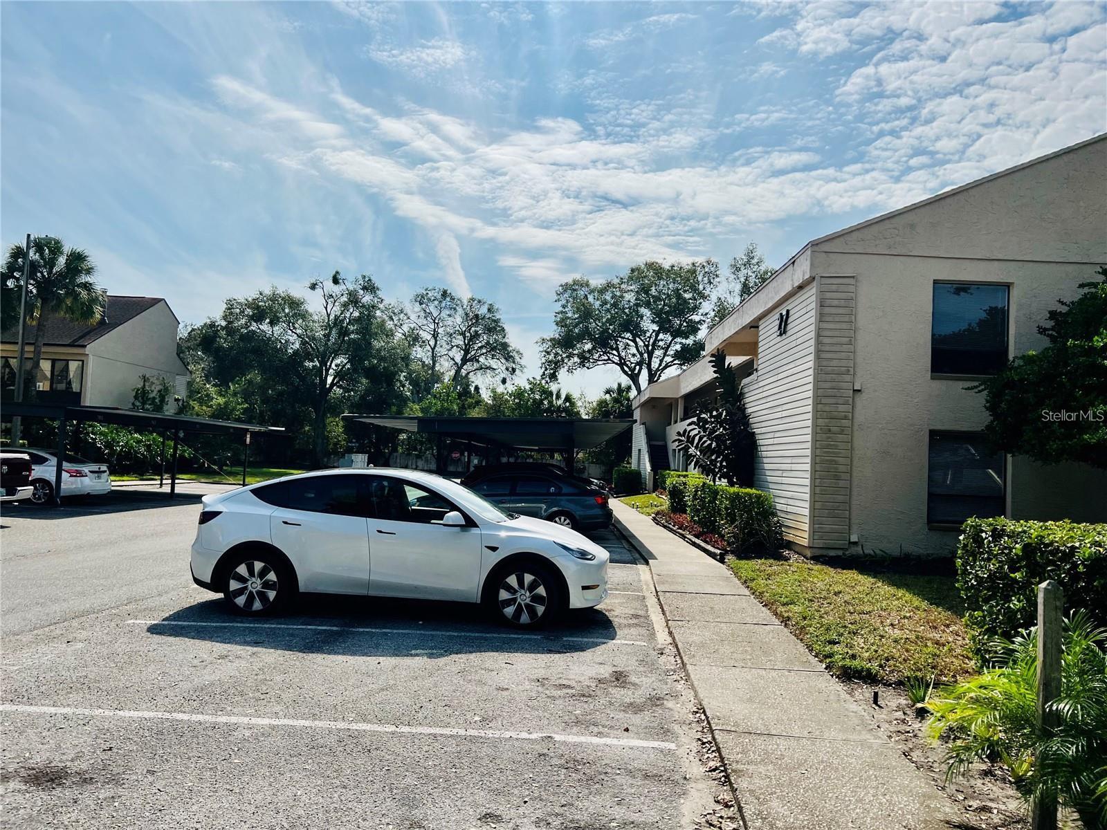 7818 NIAGARA AVE #205, TAMPA, FL, 33617