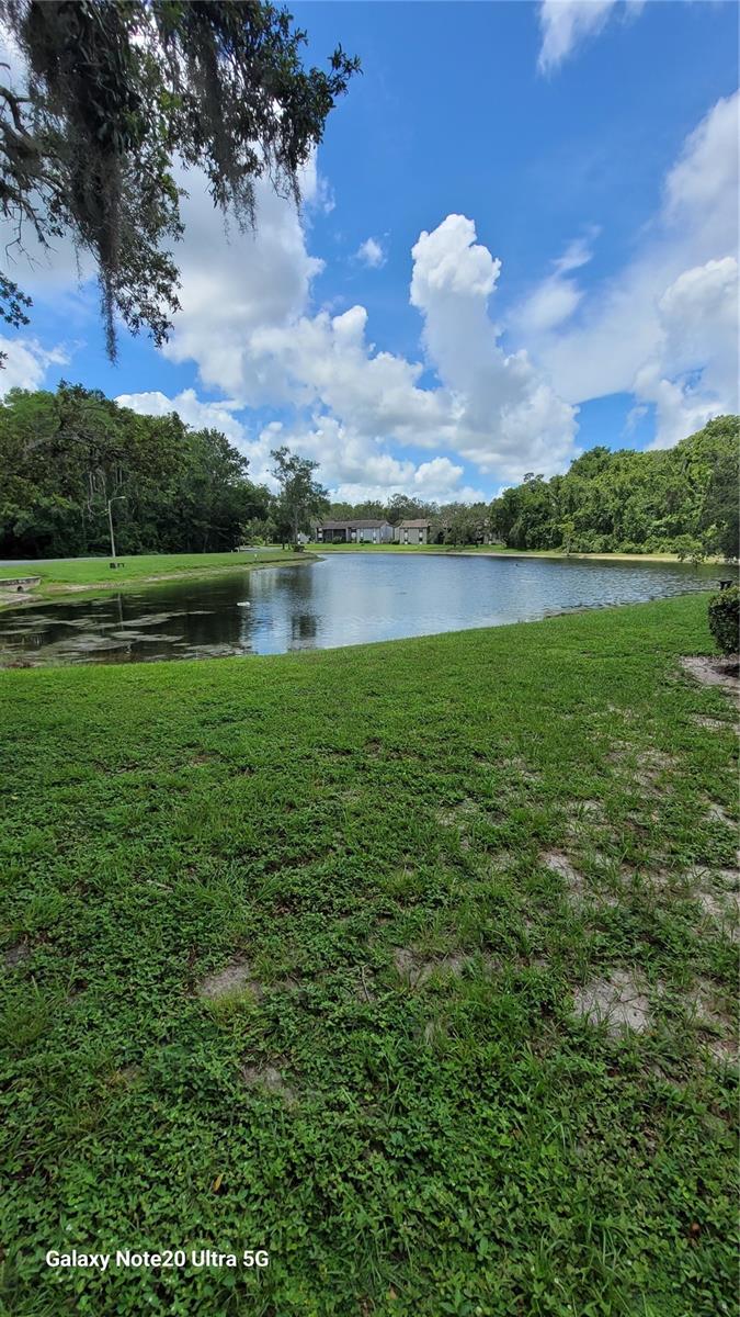 12011 PROCTOR LOOP #1, NEW PORT RICHEY, FL, 34654