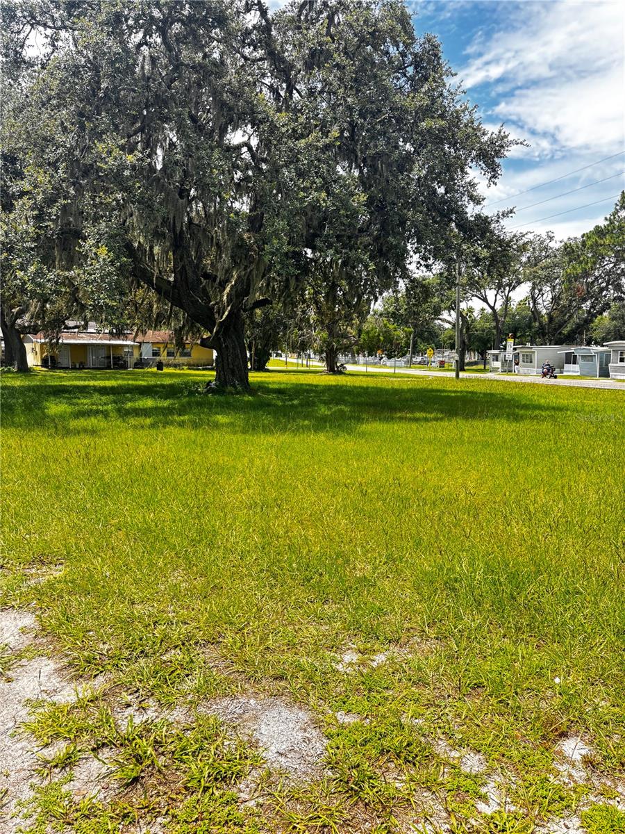 0 15TH AVE, ZEPHYRHILLS, FL, 33542