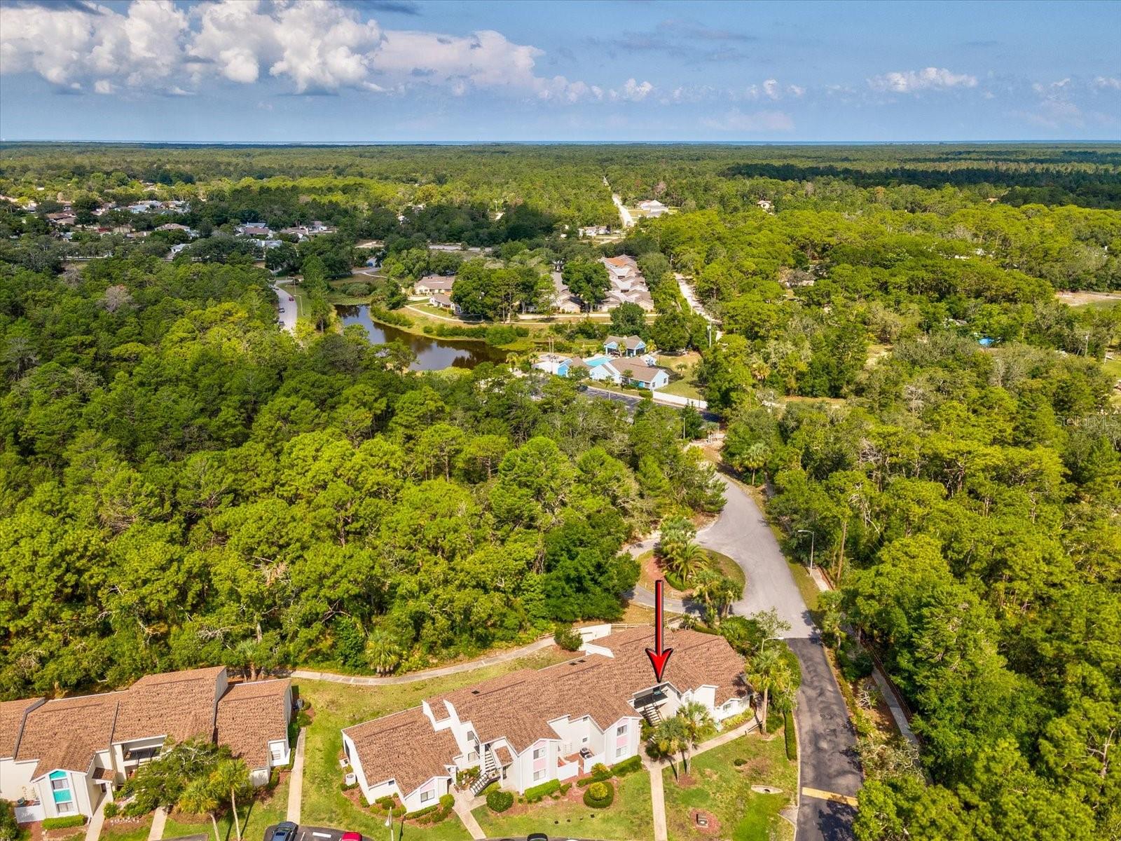 8065 PICKETTS CT #C, WEEKI WACHEE, FL, 34613