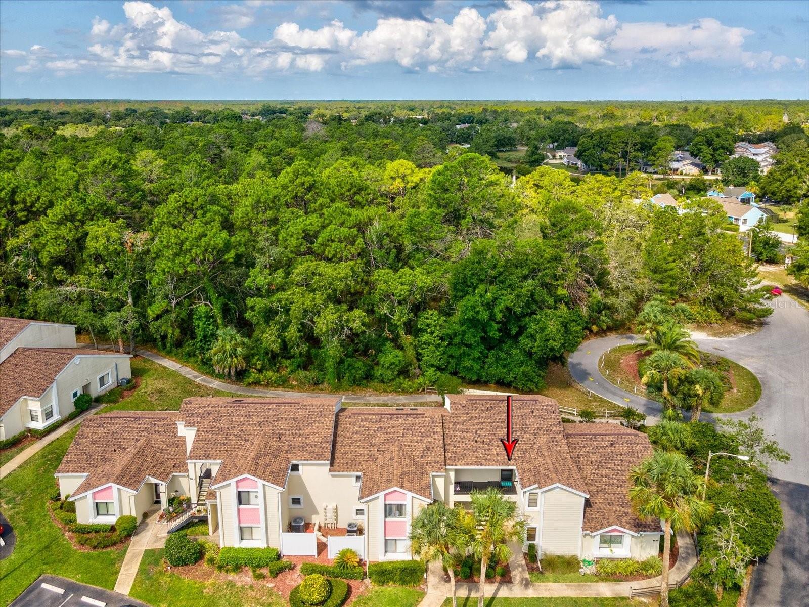 8065 PICKETTS CT #C, WEEKI WACHEE, FL, 34613