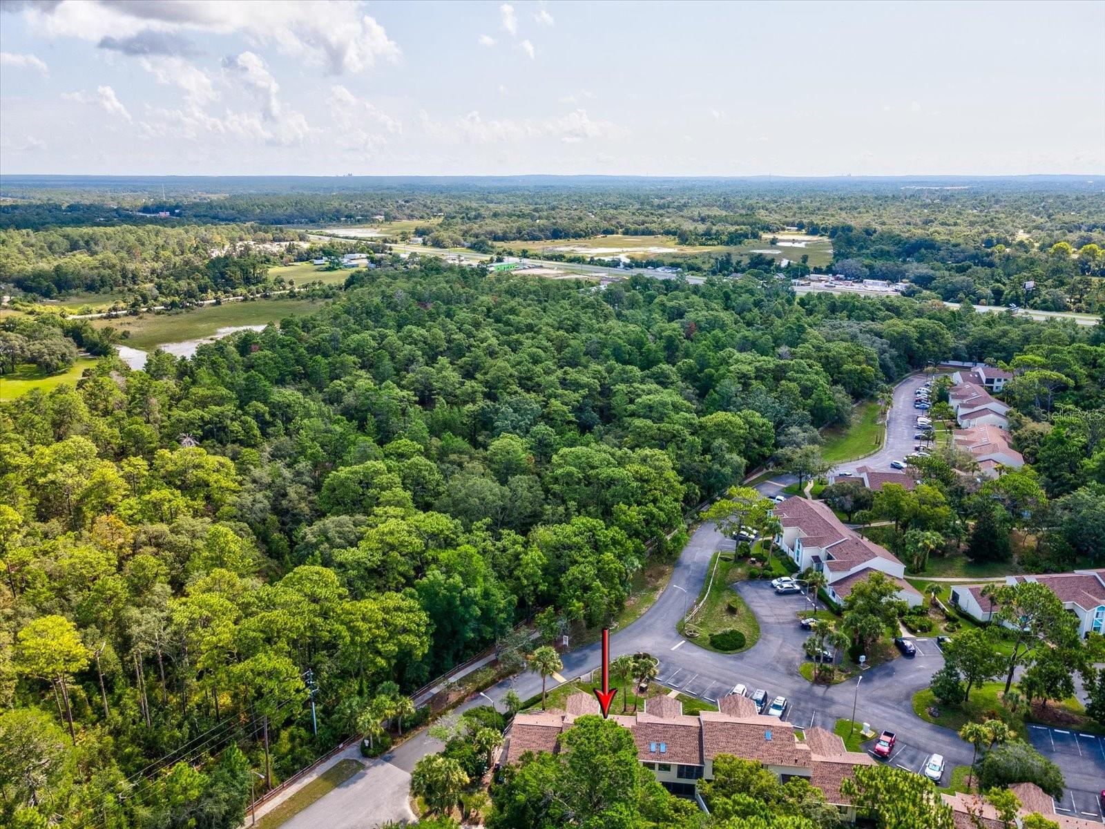 8065 PICKETTS CT #C, WEEKI WACHEE, FL, 34613