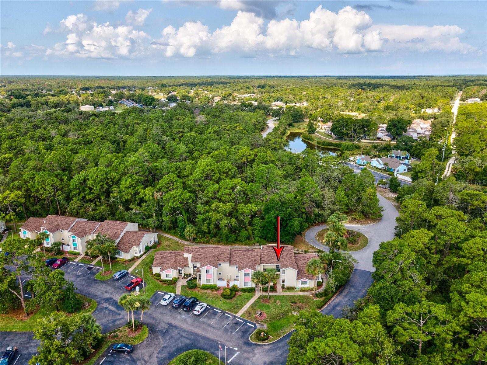 8065 PICKETTS CT #C, WEEKI WACHEE, FL, 34613