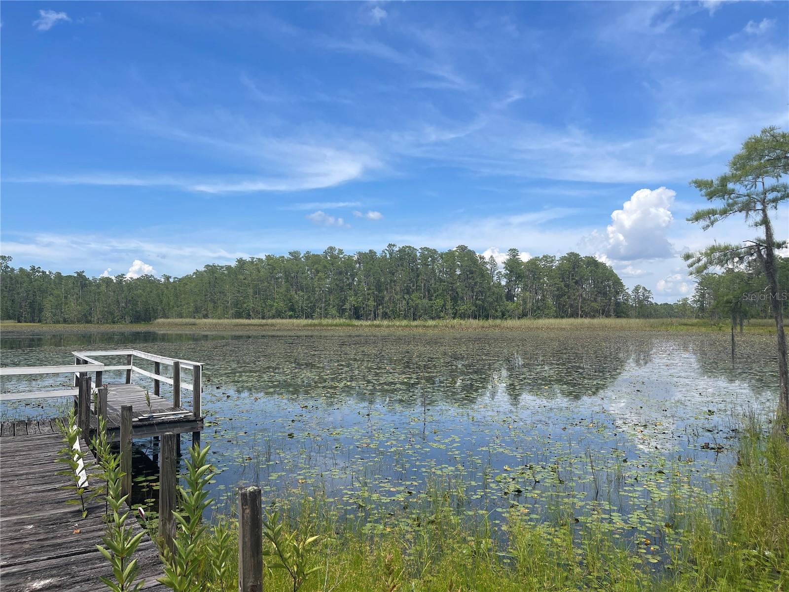 7752 ADONIJAH WAY, CLERMONT, FL, 34714