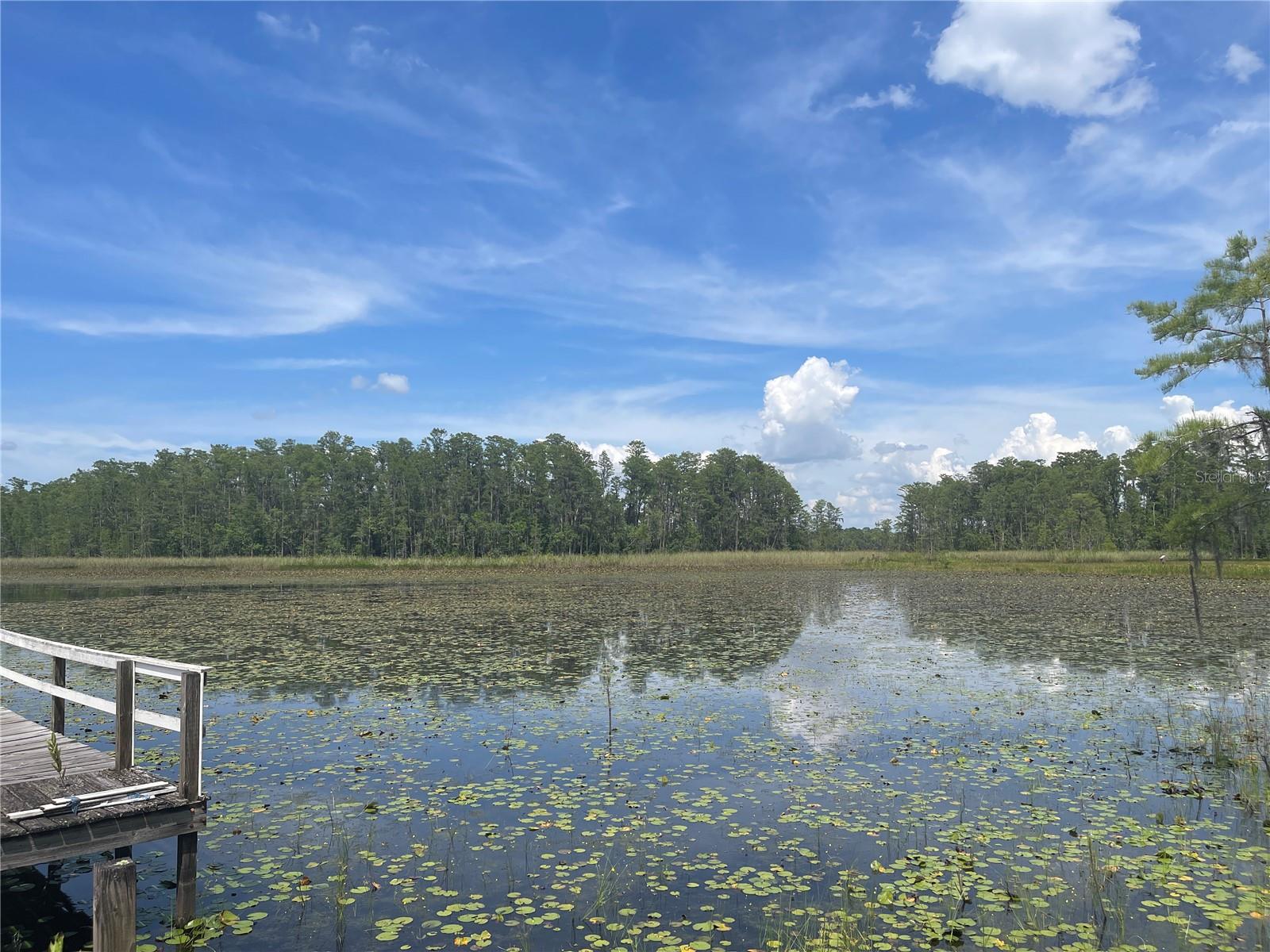 7752 ADONIJAH WAY, CLERMONT, FL, 34714