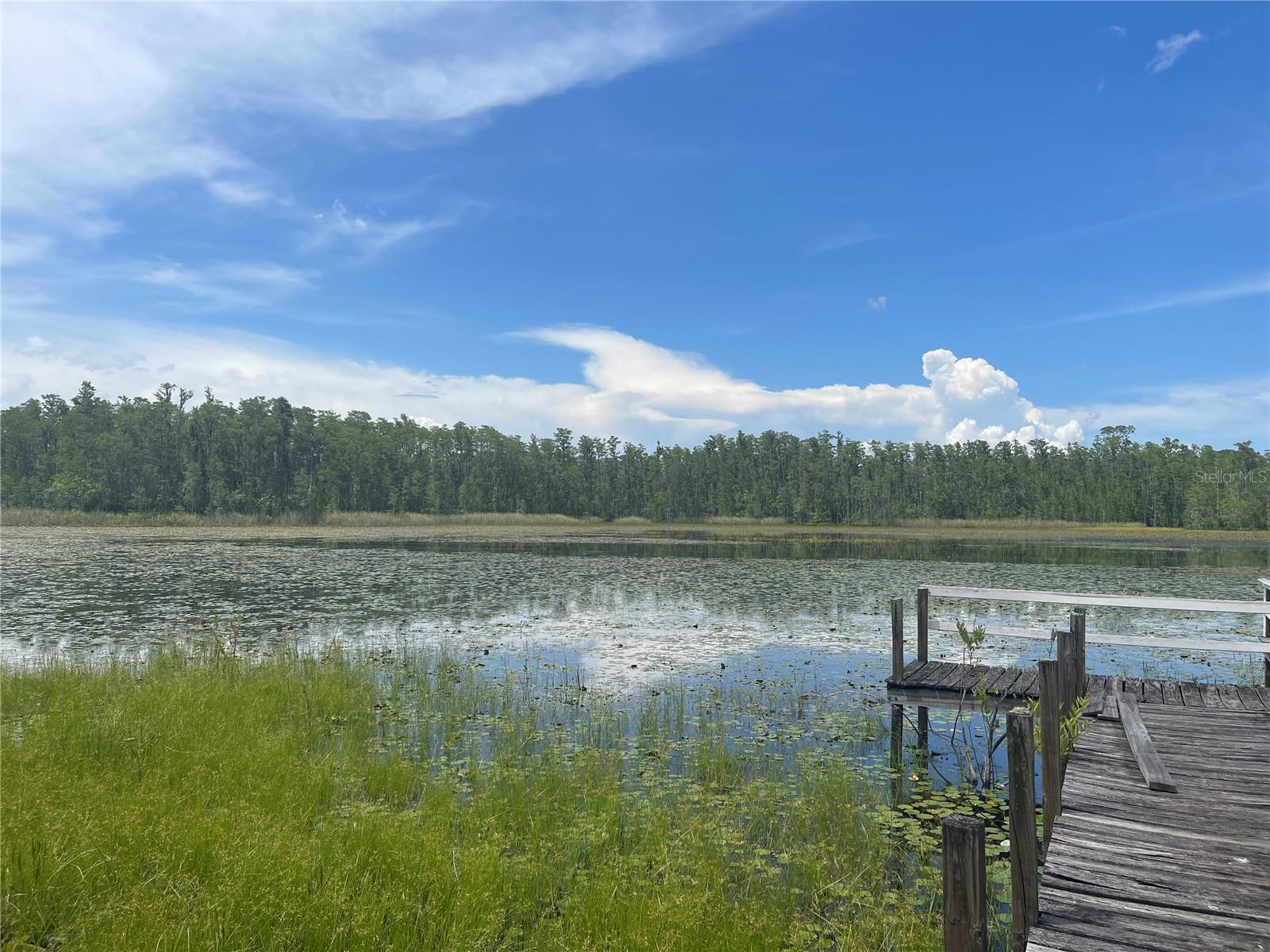 7752 ADONIJAH WAY, CLERMONT, FL, 34714