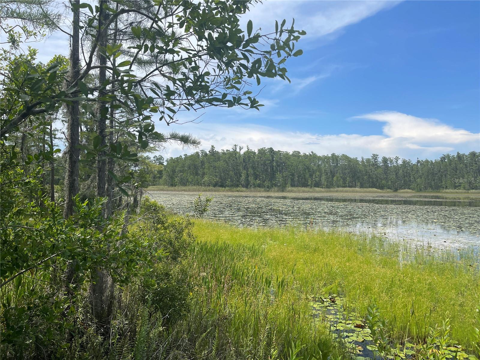 7752 ADONIJAH WAY, CLERMONT, FL, 34714