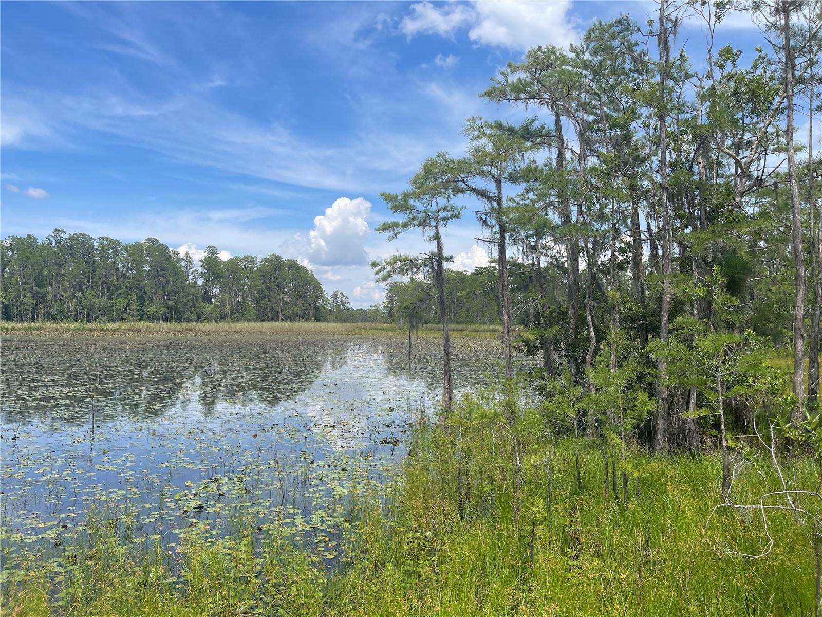 7752 ADONIJAH WAY, CLERMONT, FL, 34714