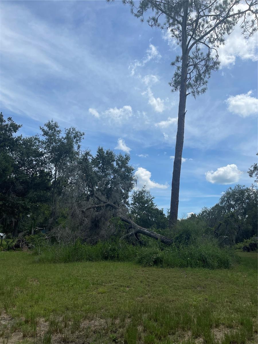 7752 ADONIJAH WAY, CLERMONT, FL, 34714