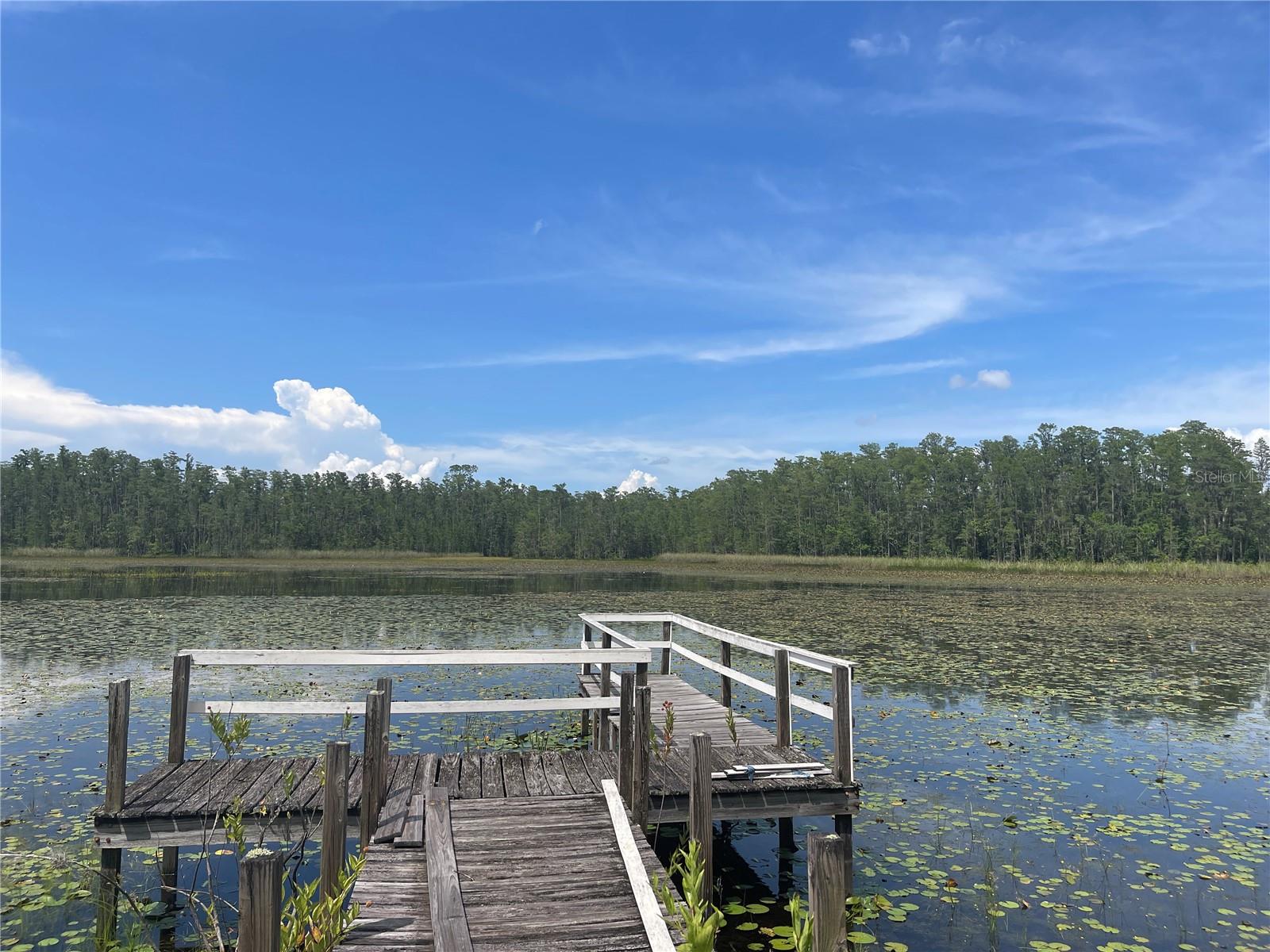 7752 ADONIJAH WAY, CLERMONT, FL, 34714