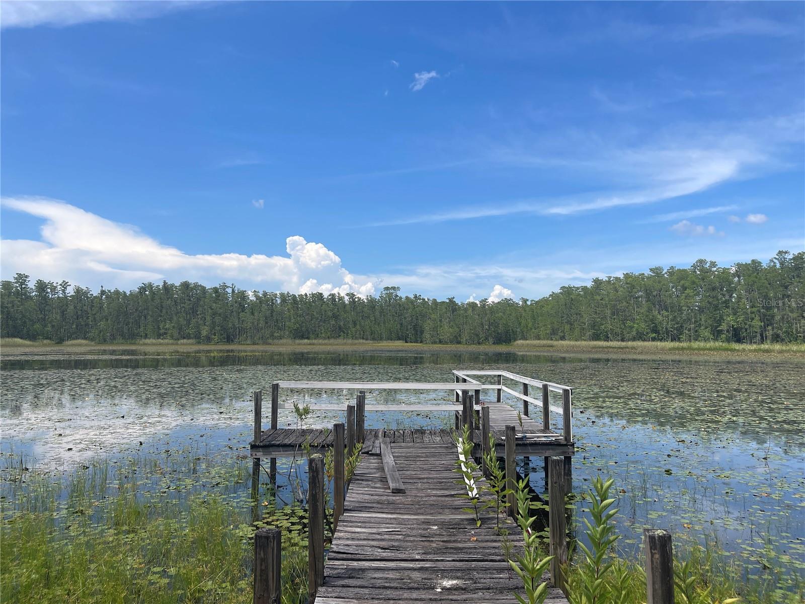 7752 ADONIJAH WAY, CLERMONT, FL, 34714