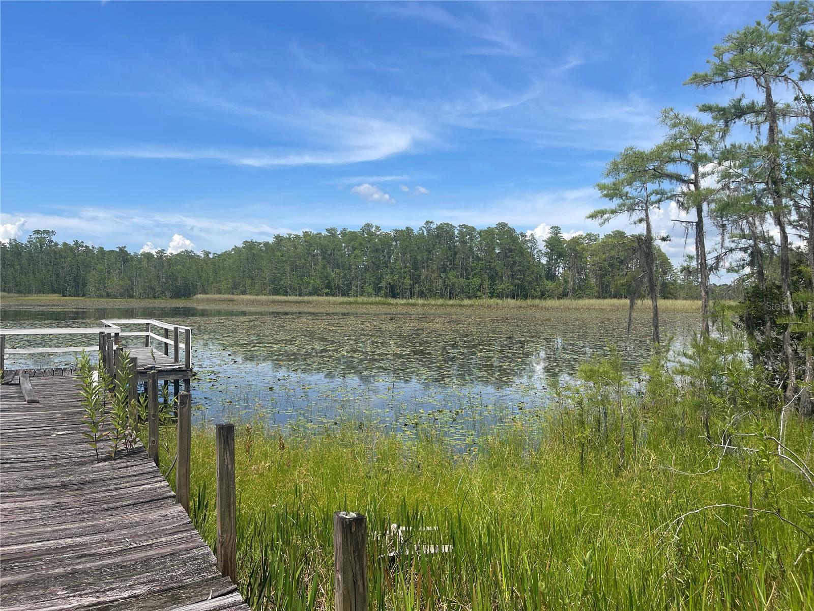 7752 ADONIJAH WAY, CLERMONT, FL, 34714