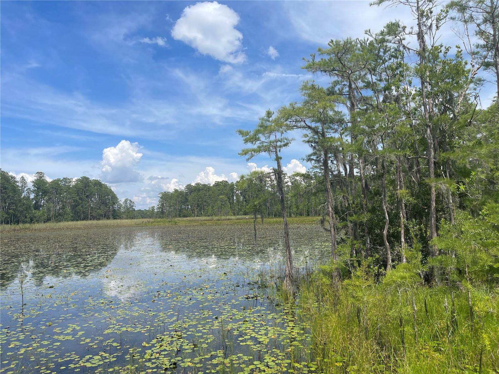 7752 ADONIJAH WAY, CLERMONT, FL, 34714