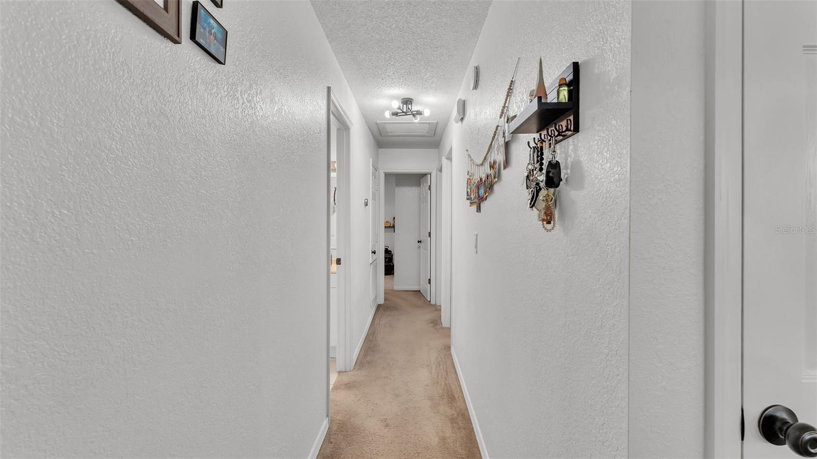 815 EVERETT ST, LAKE ALFRED, FL, 33850