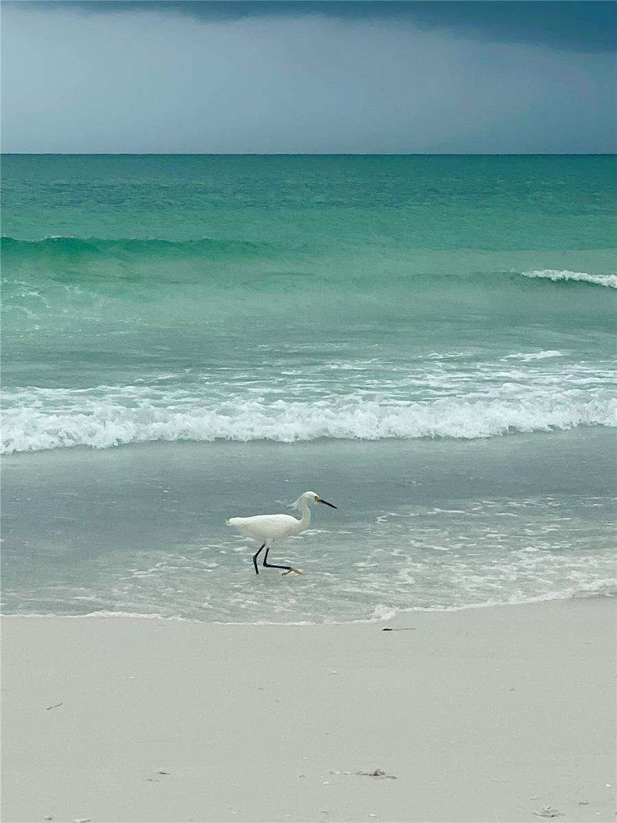 326 MANN AVE SE, PORT CHARLOTTE, FL, 33952