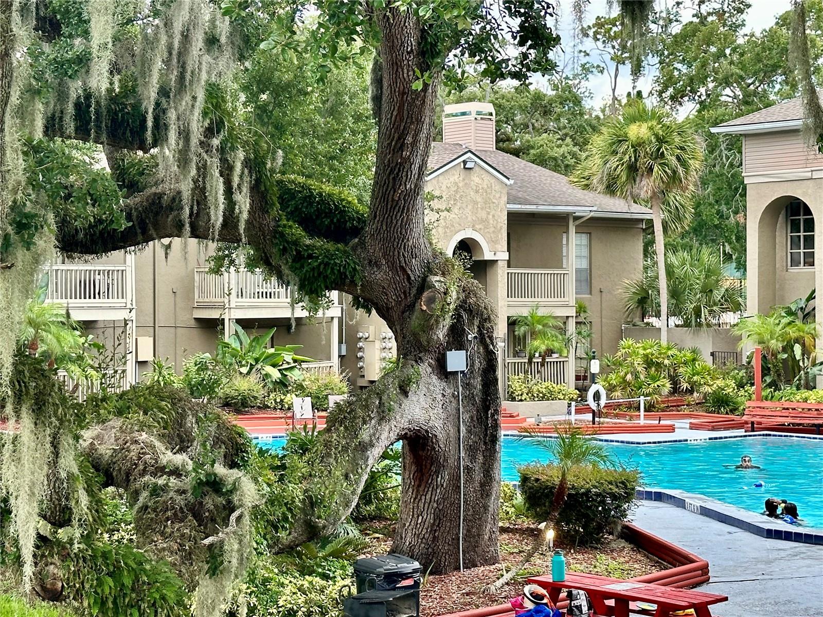 375 WYMORE RD #107, ALTAMONTE SPRINGS, FL, 32714