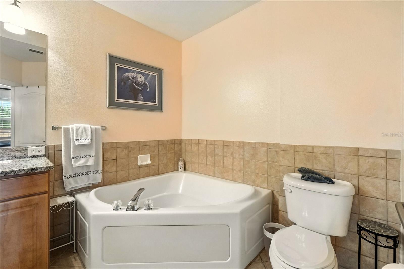 501 MIRASOL CIR #213, CELEBRATION, FL, 34747