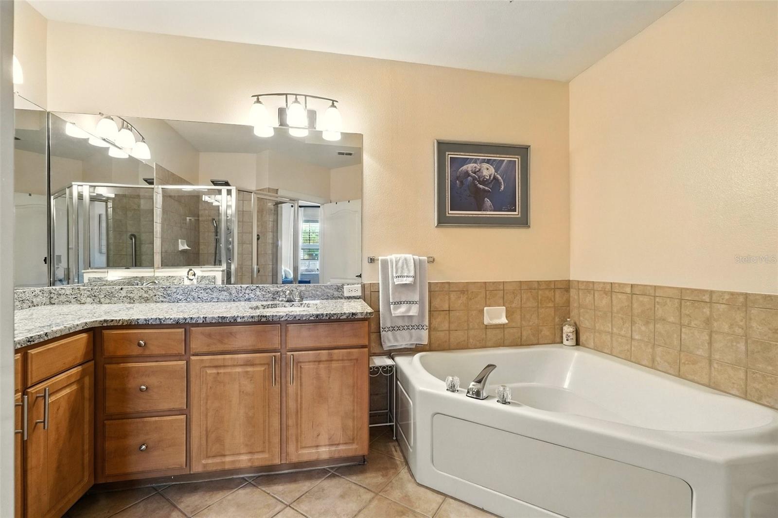 501 MIRASOL CIR #213, CELEBRATION, FL, 34747