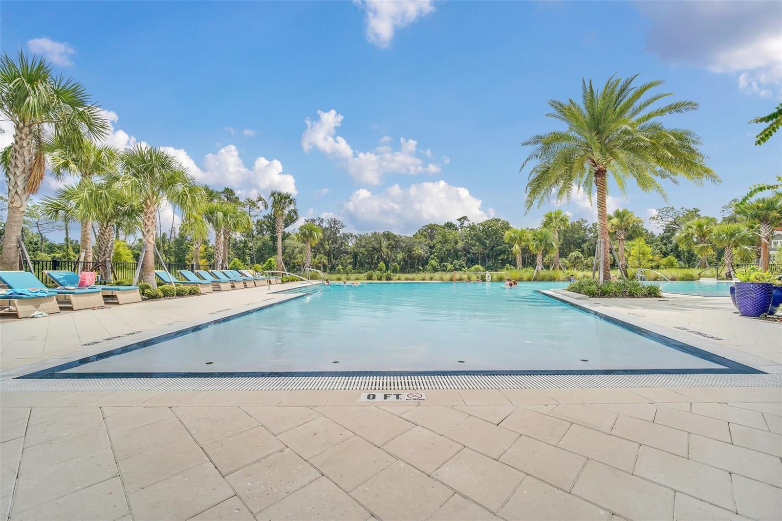 501 MIRASOL CIR #213, CELEBRATION, FL, 34747