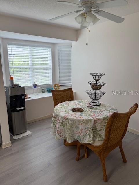 19052 SW 91ST LN, DUNNELLON, FL, 34432