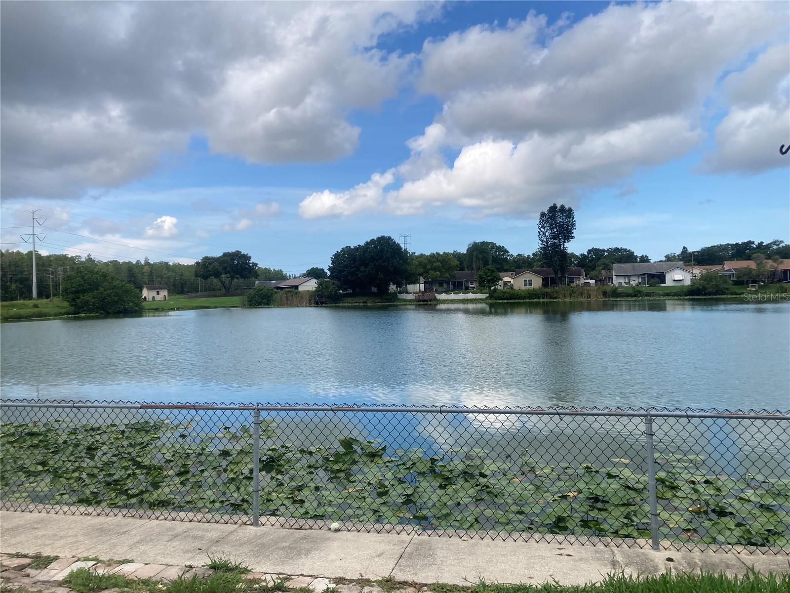 7806 JENNER AVE, NEW PORT RICHEY, FL, 34655