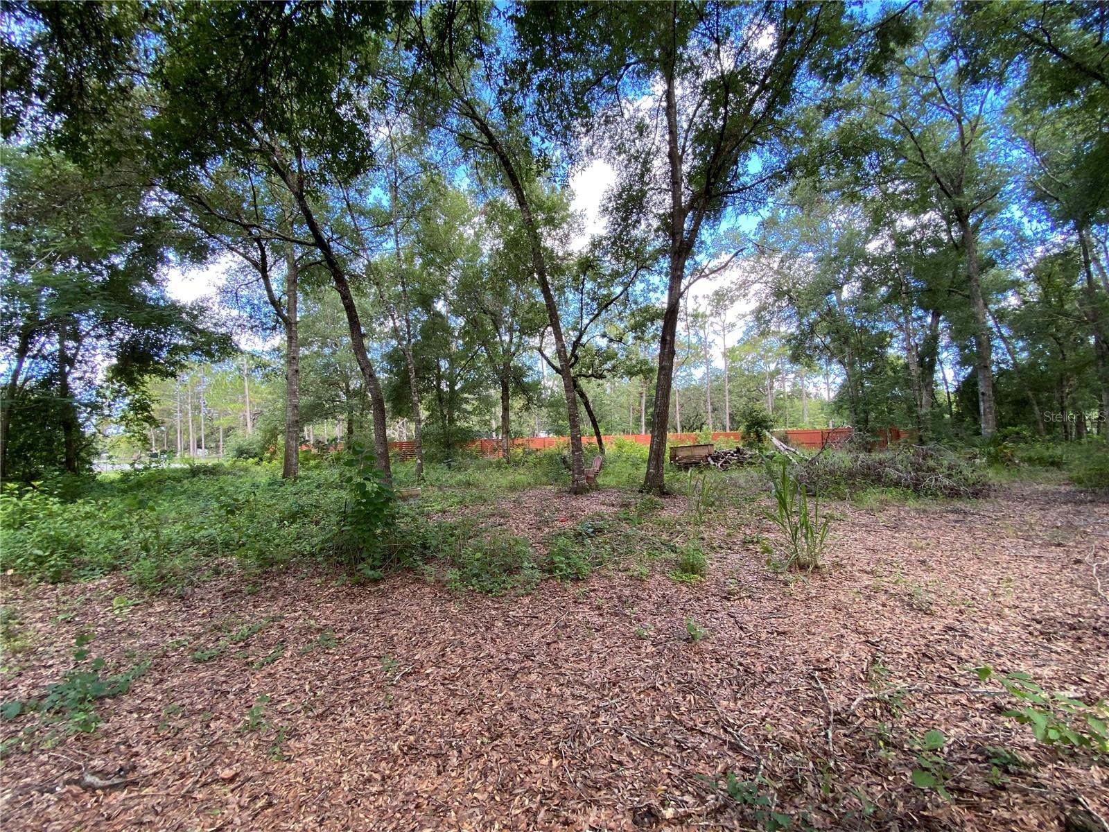 14642 PAULINE DR, HUDSON, FL, 34669