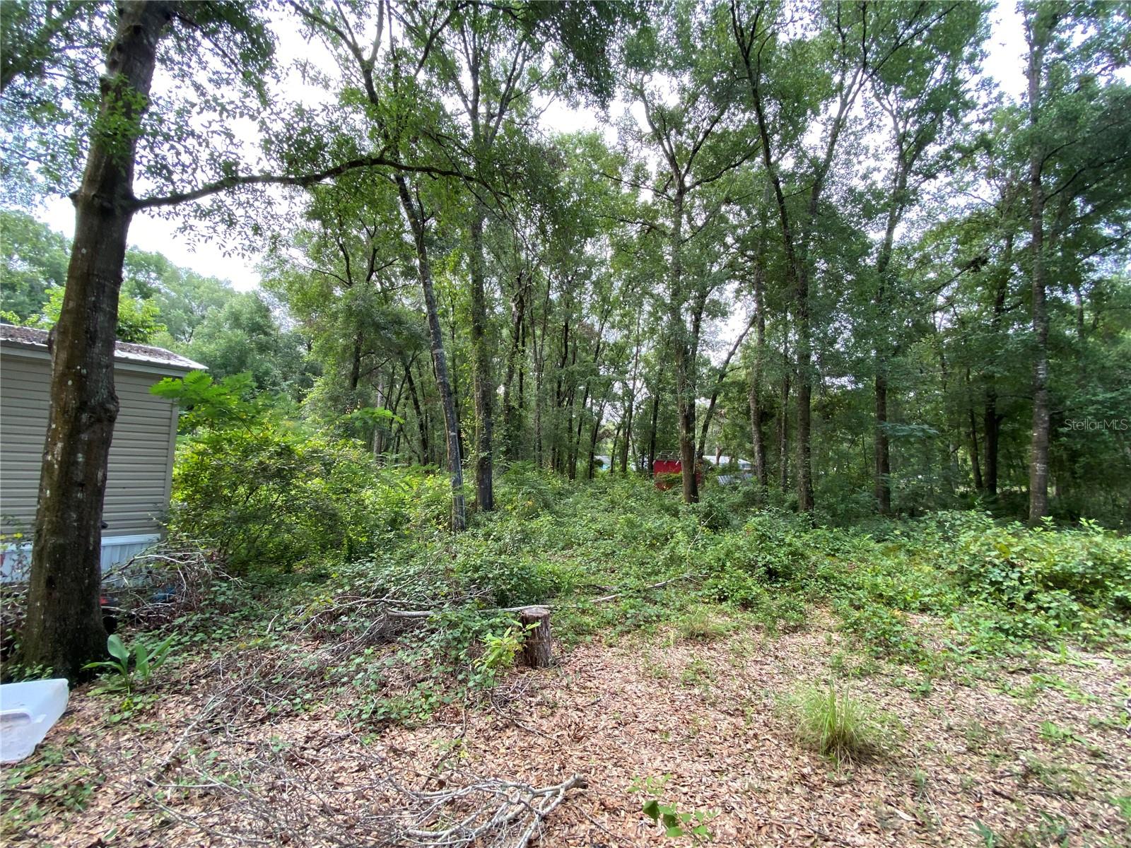 14642 PAULINE DR, HUDSON, FL, 34669