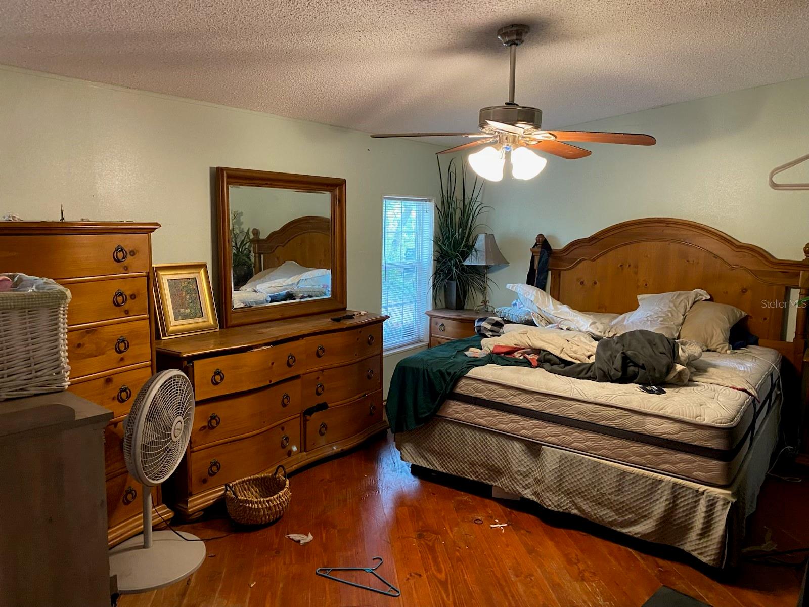 14642 PAULINE DR, HUDSON, FL, 34669