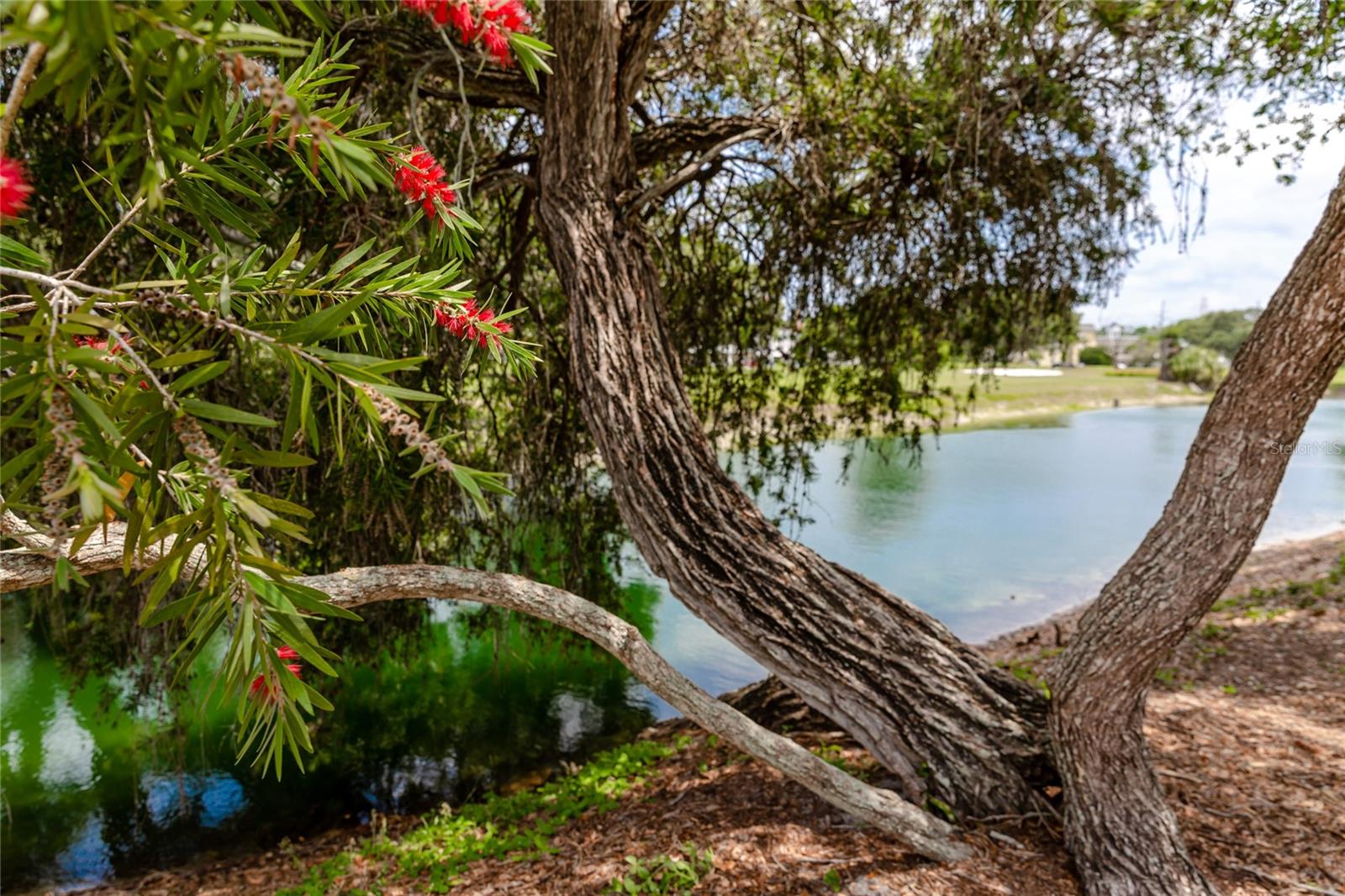 2363 ISRAELI DR #29, CLEARWATER, FL, 33763