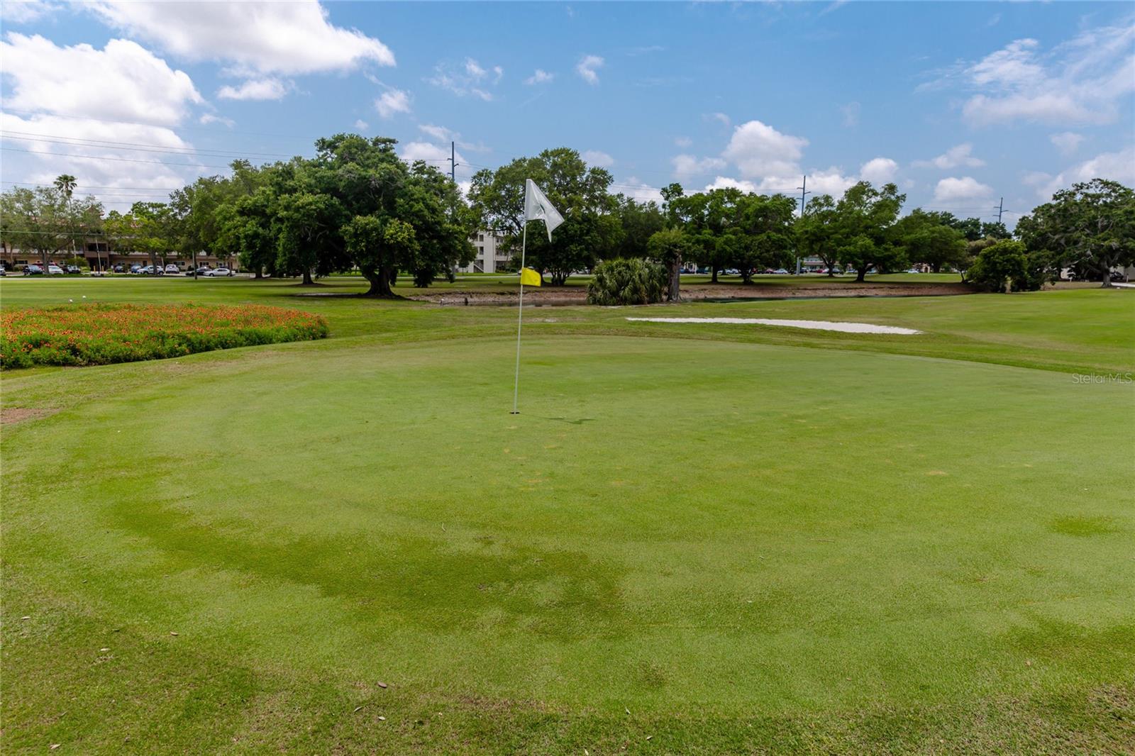 2363 ISRAELI DR #29, CLEARWATER, FL, 33763