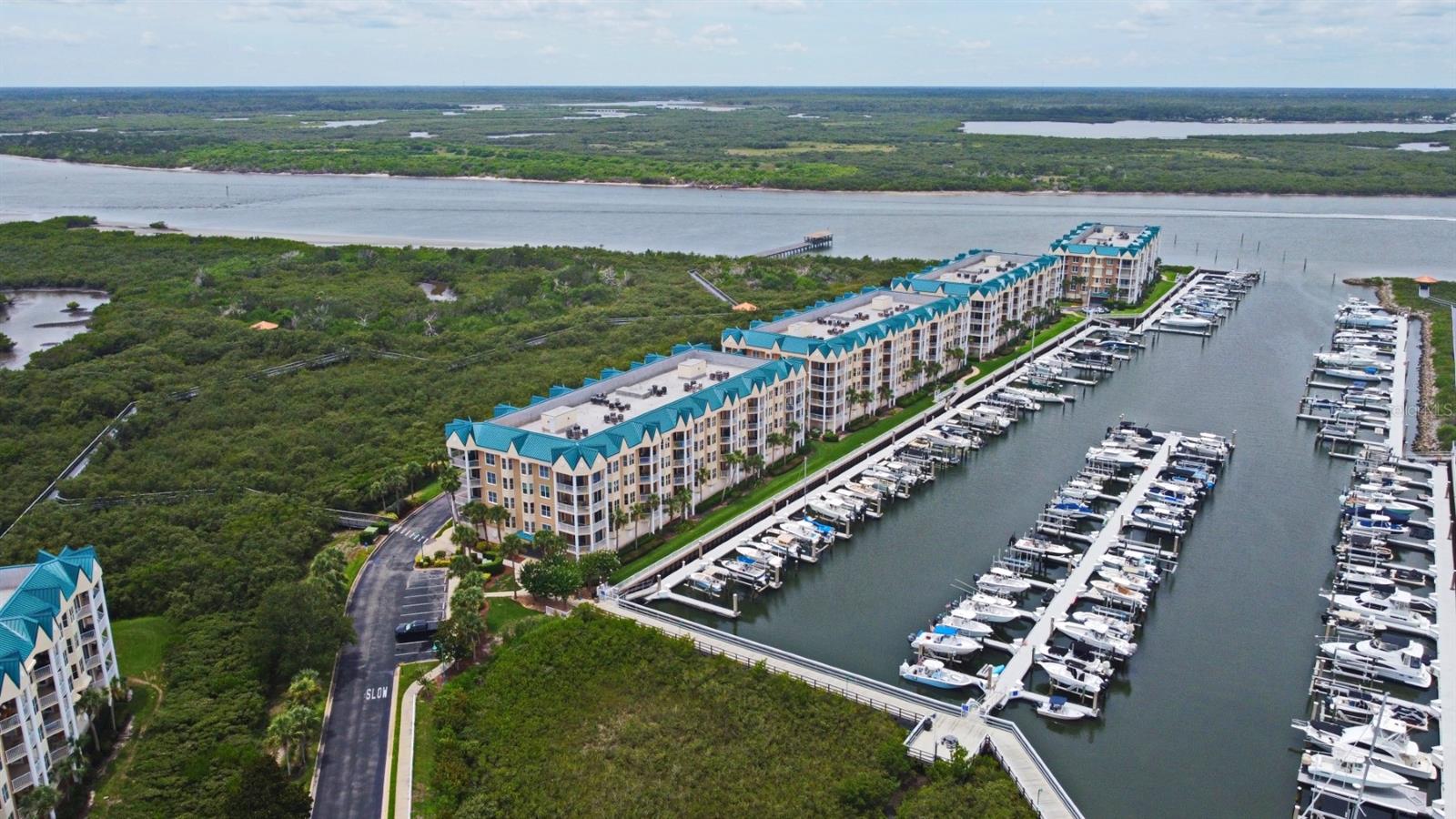 4624 HARBOUR VILLAGE BLVD #4206, PONCE INLET, FL, 32127