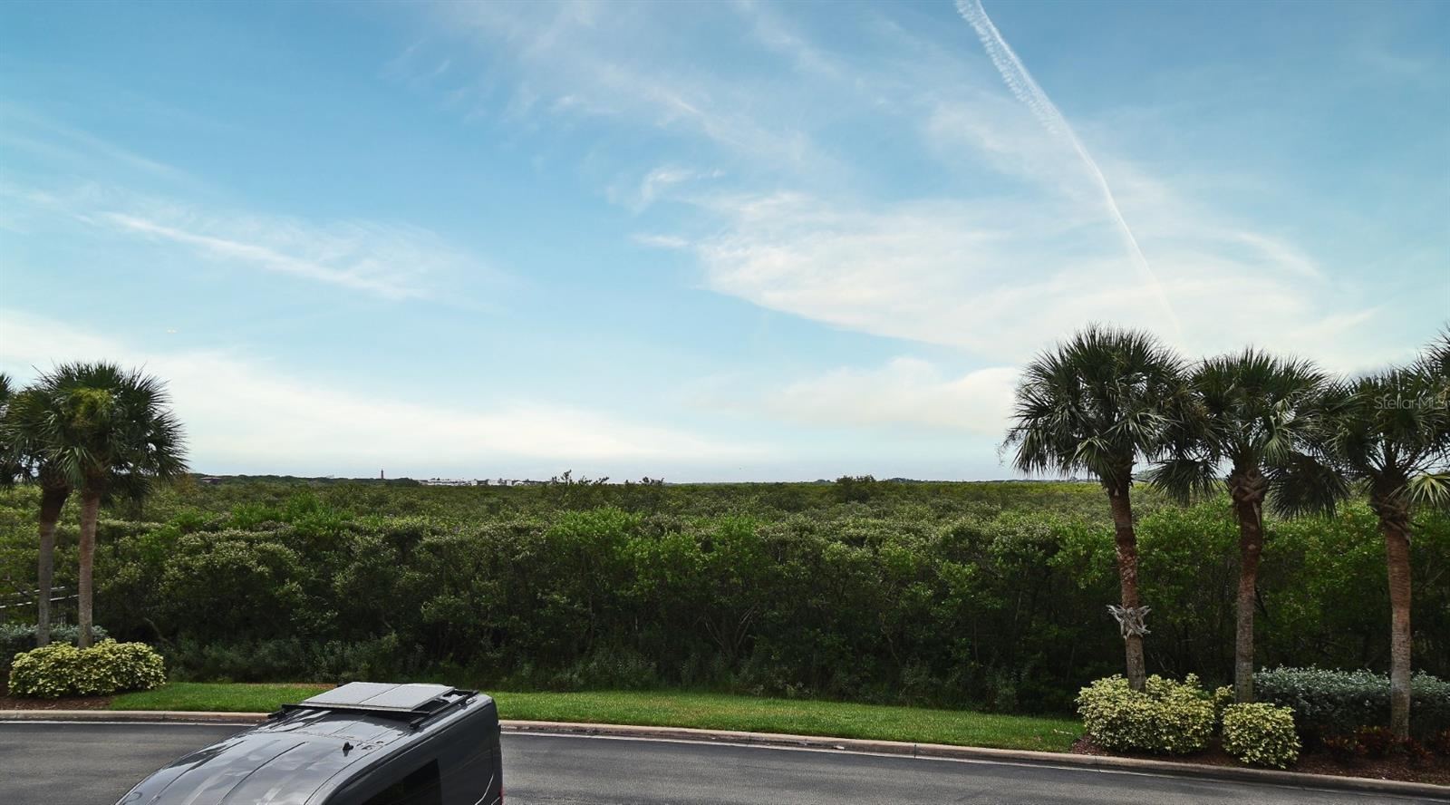 4624 HARBOUR VILLAGE BLVD #4206, PONCE INLET, FL, 32127