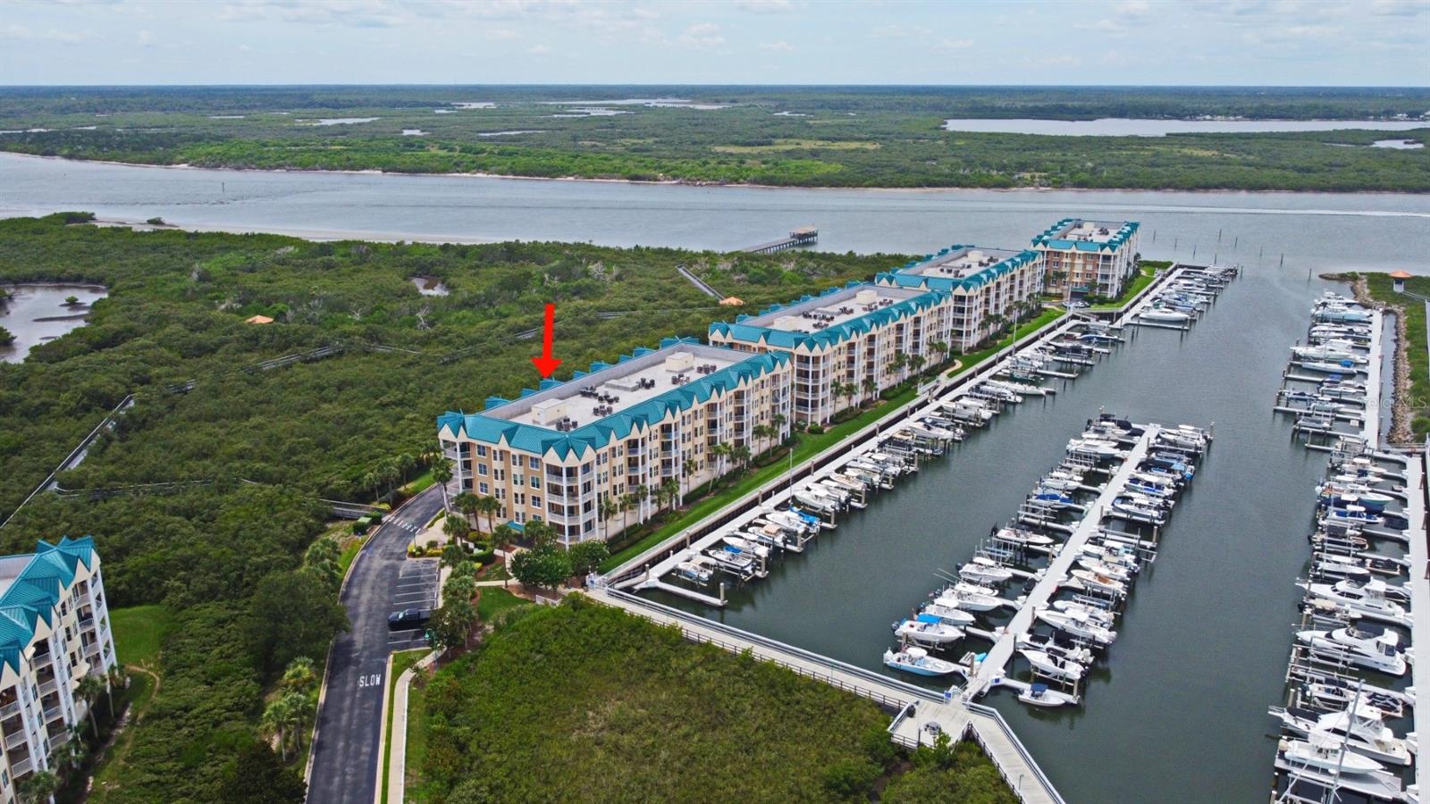 4624 HARBOUR VILLAGE BLVD #4206, PONCE INLET, FL, 32127