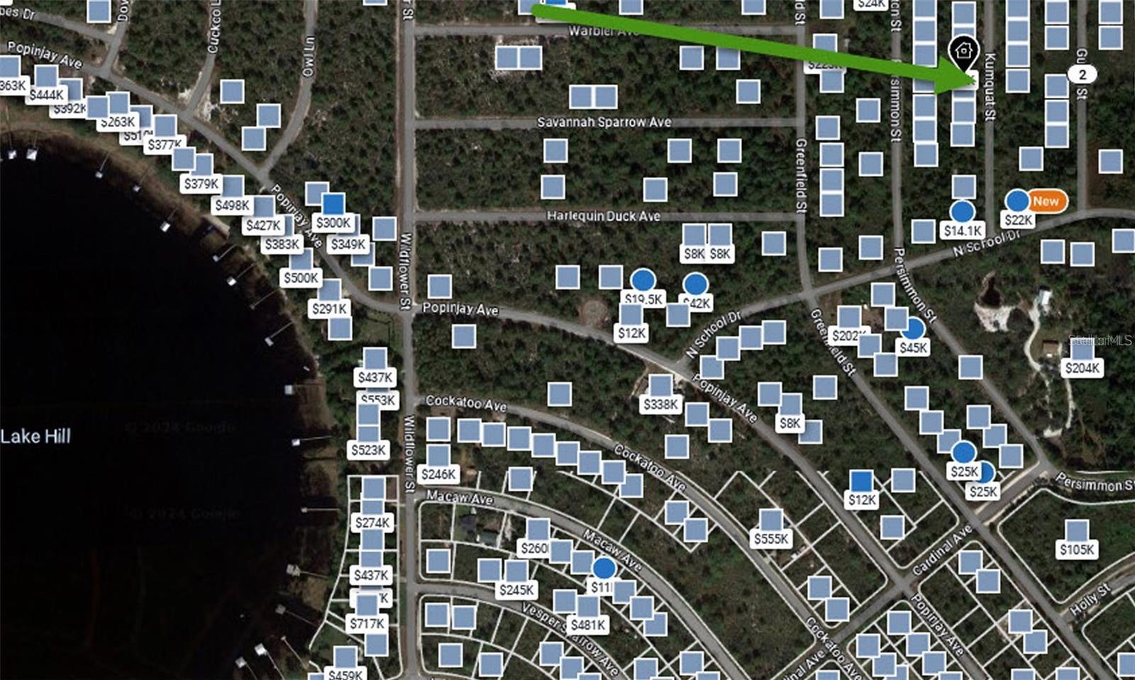 1256 KUMQUAT ST, LAKE PLACID, FL, 33852