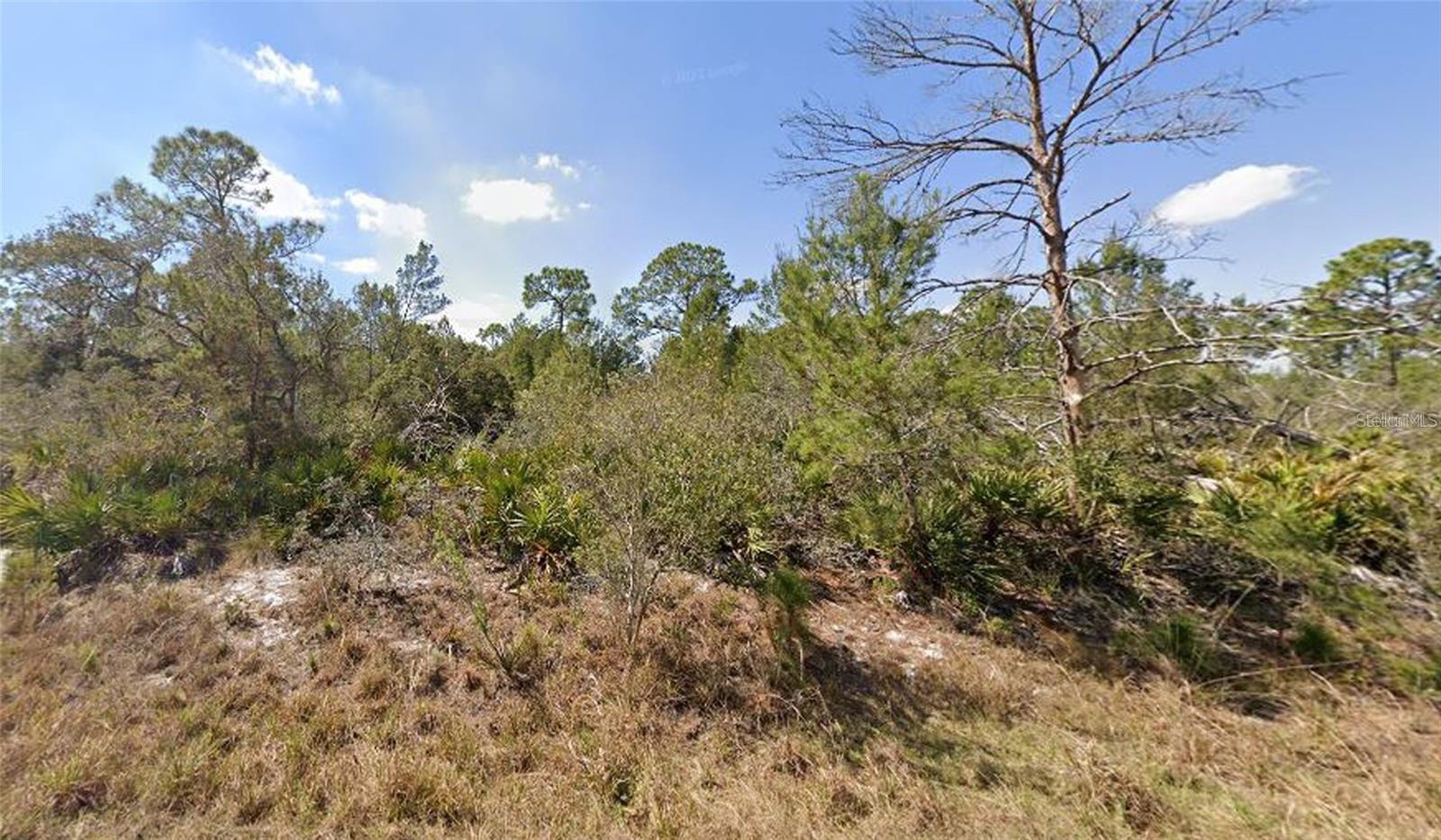 1256 KUMQUAT ST, LAKE PLACID, FL, 33852