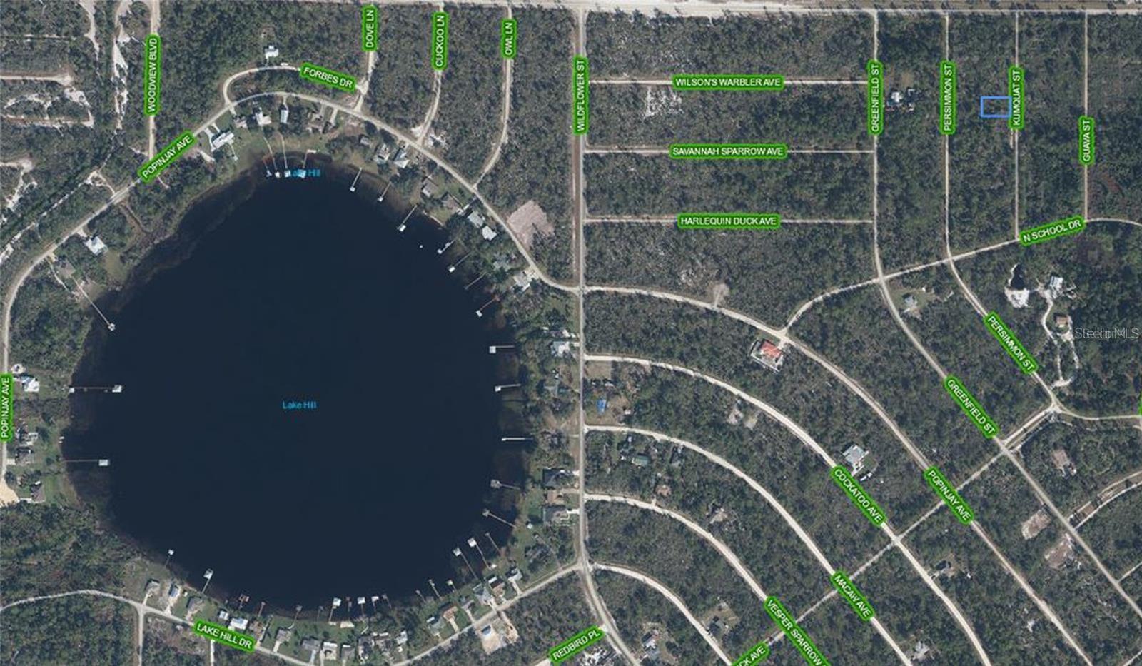 1256 KUMQUAT ST, LAKE PLACID, FL, 33852