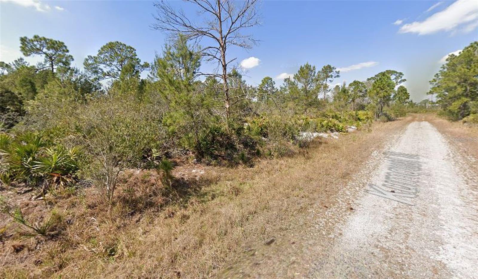 1256 KUMQUAT ST, LAKE PLACID, FL, 33852