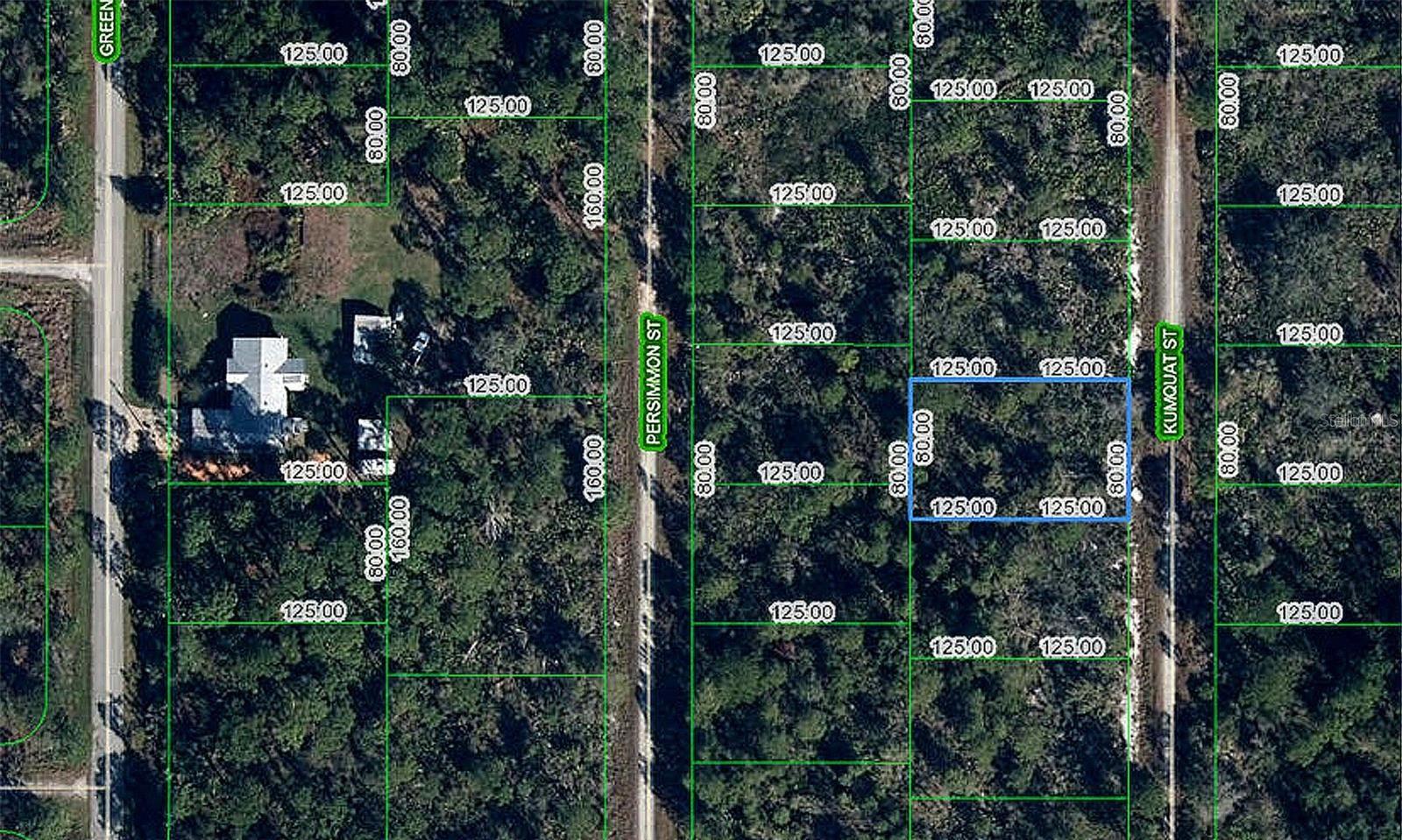 1256 KUMQUAT ST, LAKE PLACID, FL, 33852