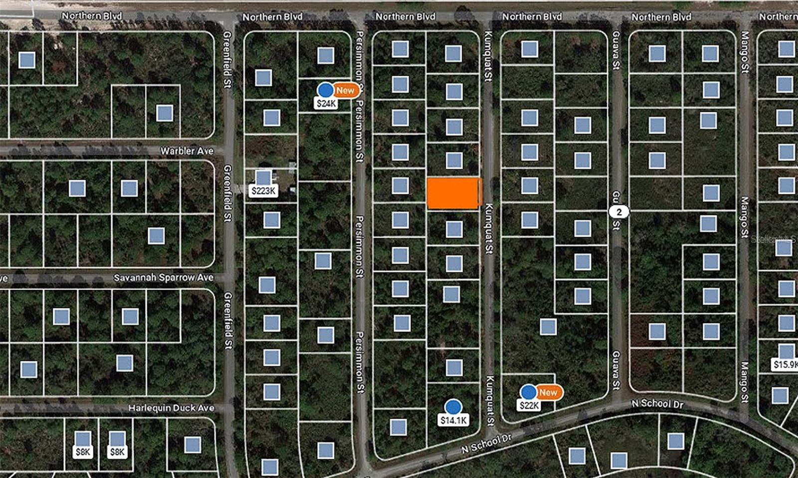 1256 KUMQUAT ST, LAKE PLACID, FL, 33852