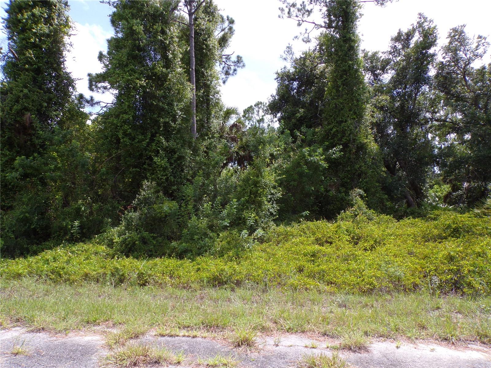 IRONSIDE ST, NORTH PORT, FL, 34288