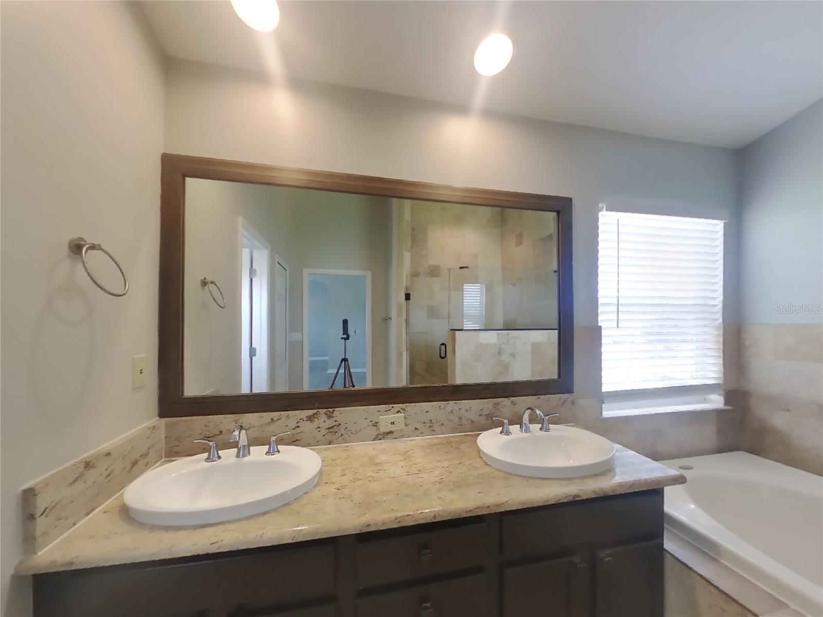 3600 CRESTHILL LN, LAND O LAKES, FL, 34639